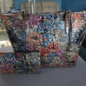 New Brahmin Asher Set Colorful Crocodile Embossed Women's Bag Set